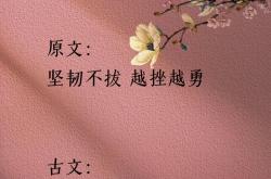 开云官网-喜出望外胜利归来费尽心思取得