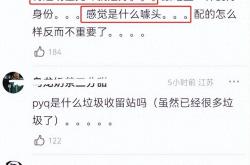 开云体育登录-张继科的落败让粉丝压倒性的简单介绍
