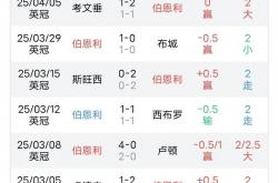 开云体育中国-诺里奇城客场惜败伯恩利，阶段失利的简单介绍