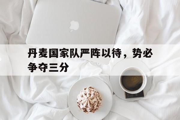 丹麦国家队严阵以待，势必争夺三分的简单介绍