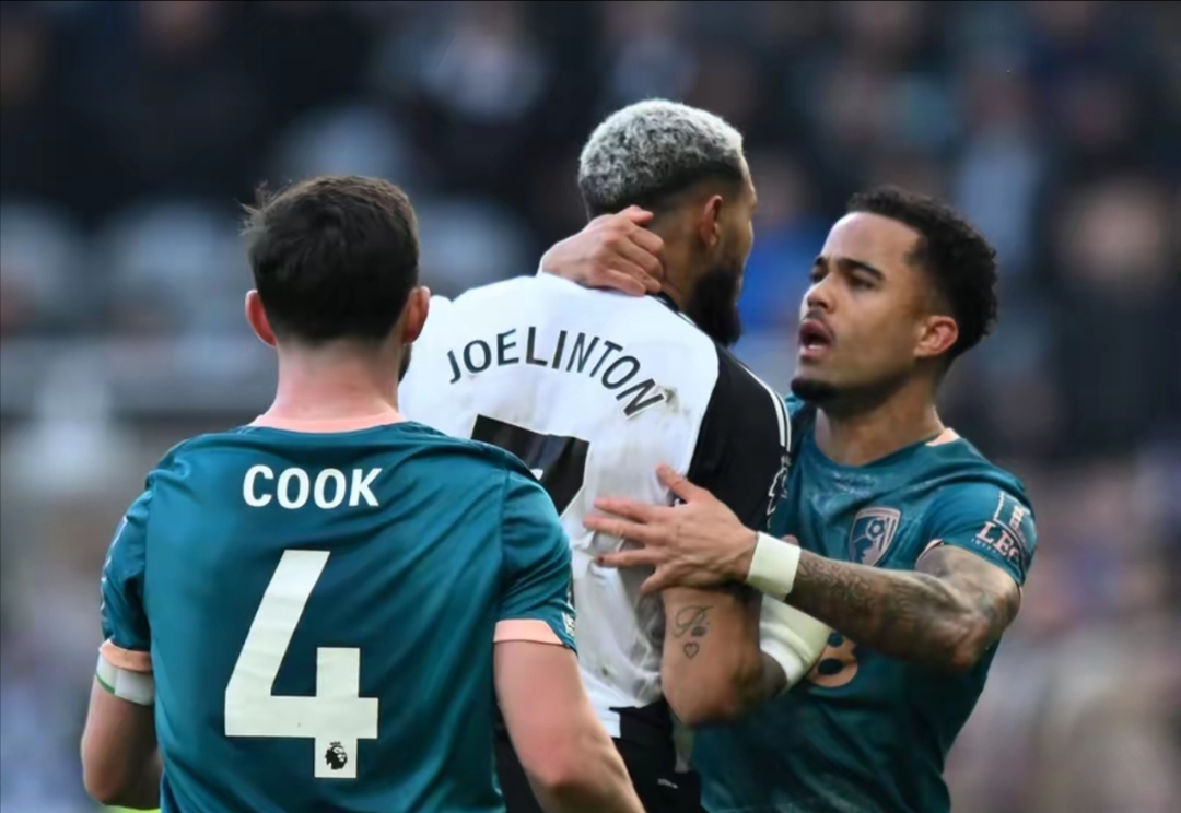 纽卡斯尔后卫表现被曝光,球迷谈误打误 纽卡斯尔后卫表现被曝光,球迷谈误打误