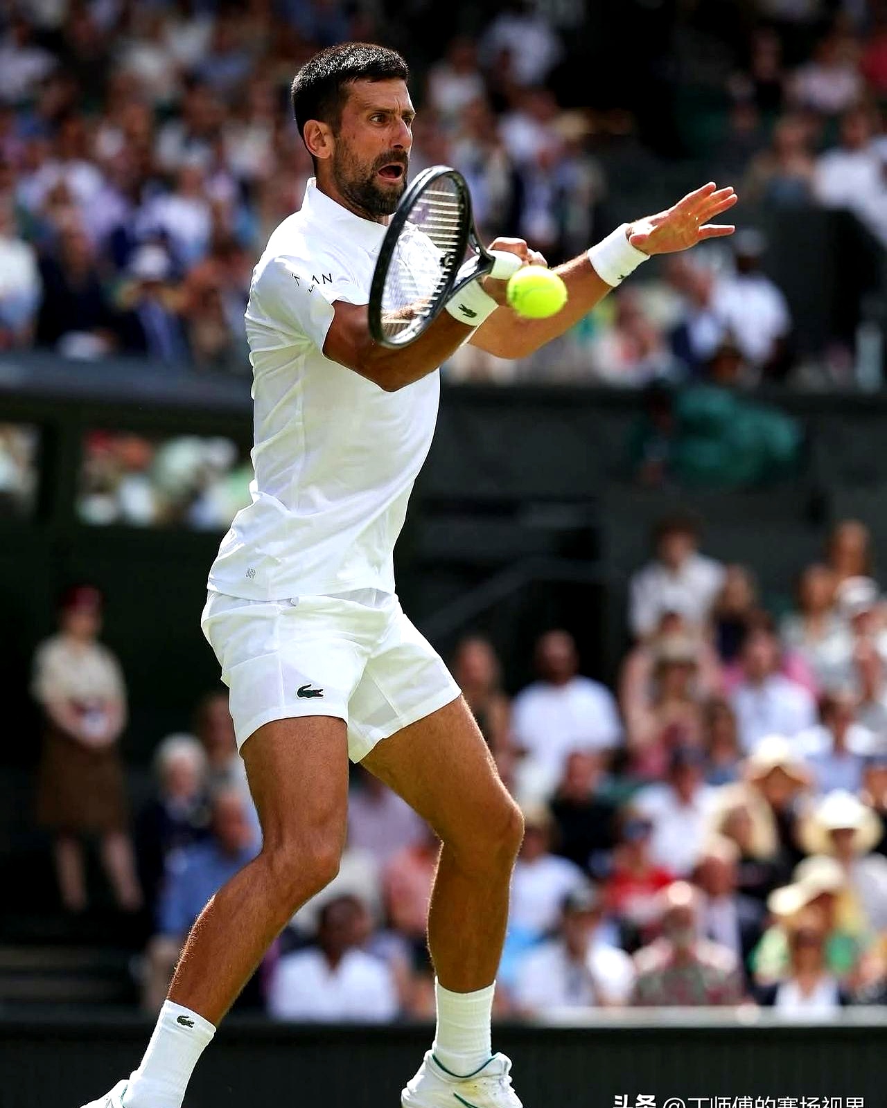 包含法国网球队强势西班牙网球队，德约科维奇关键制胜的词条