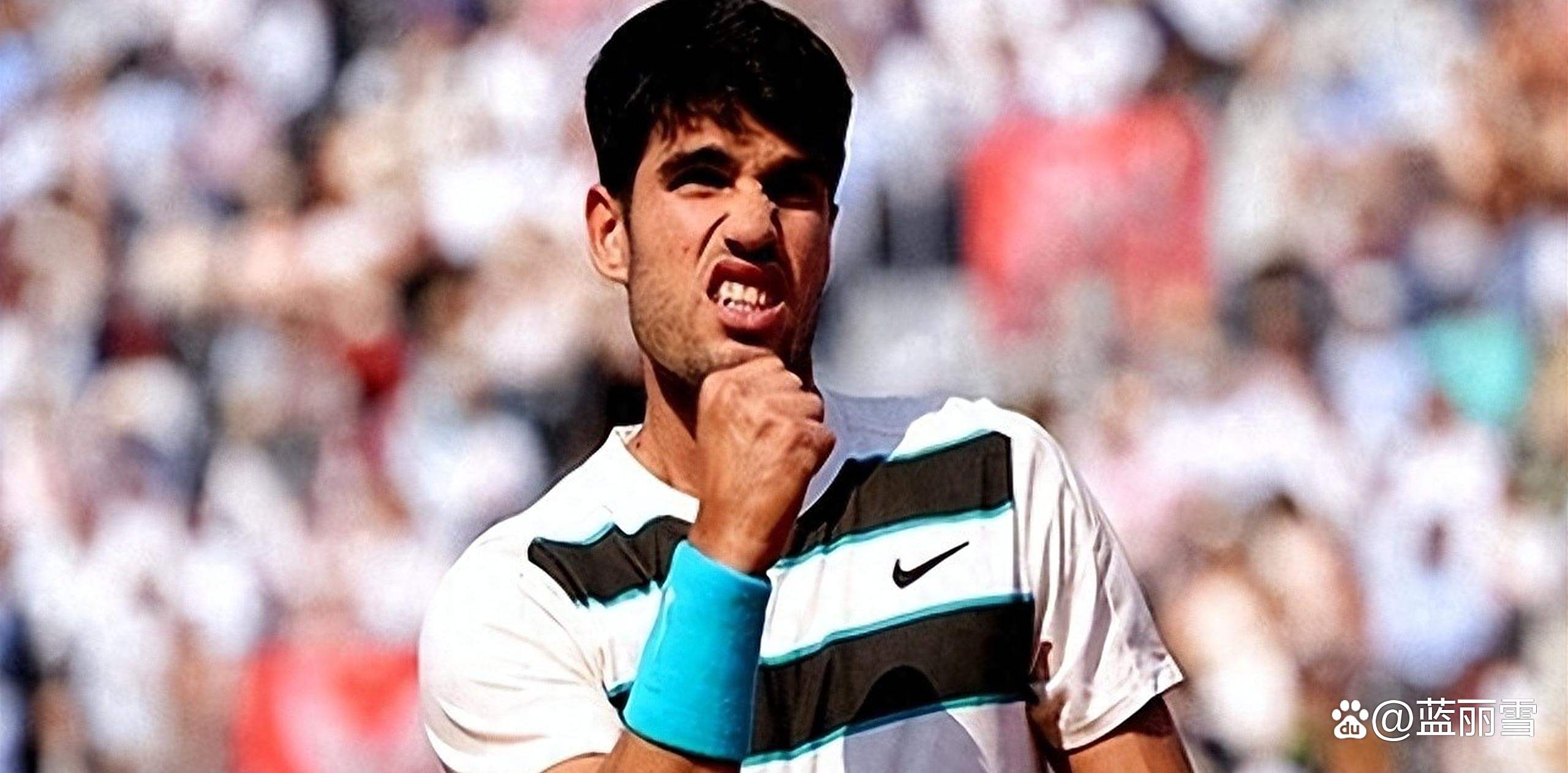 阿拉维斯遭遇失利，保级形势严峻的简单介绍