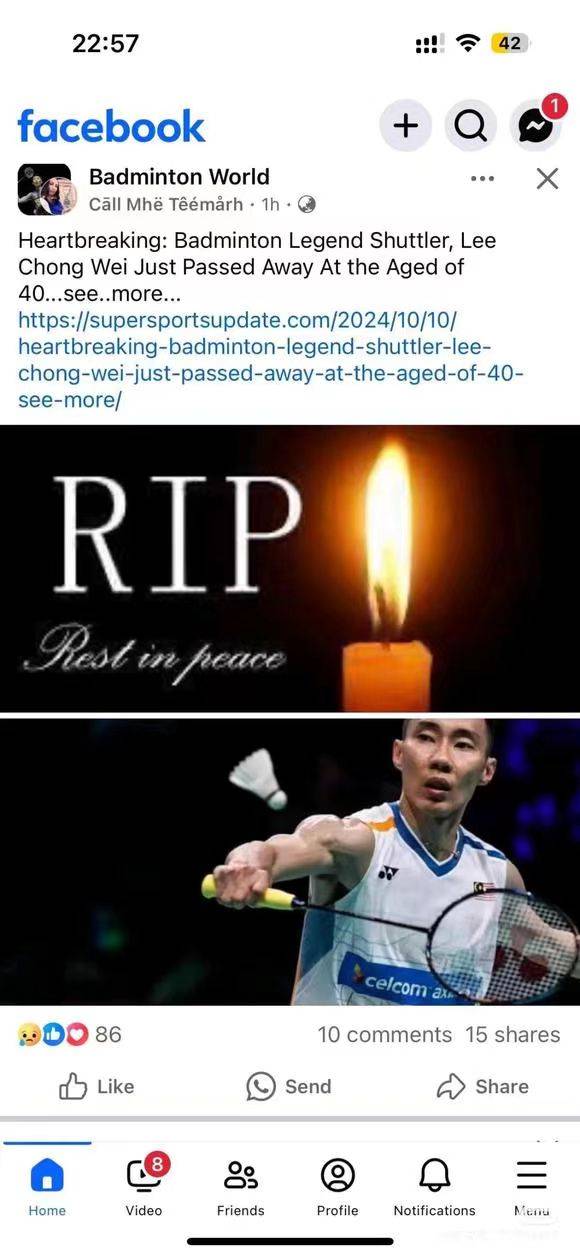 法国羽毛球队逆转丹麦羽毛球队,陶菲克关键制胜的简单介绍 法国羽毛球队逆转丹麦羽毛球队,陶菲克关键制胜的简单介绍