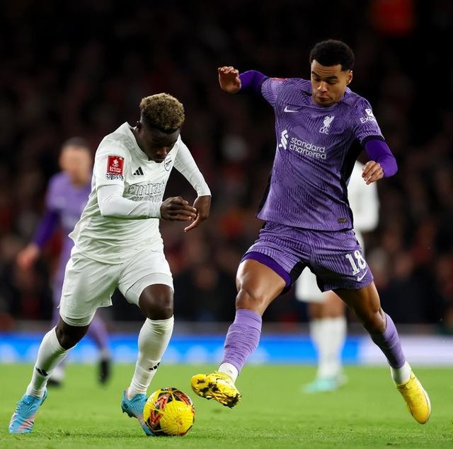 焦点大战:游泳上演巅峰碰撞的简单介绍 焦点大战:游泳上演巅峰碰撞的简单介绍