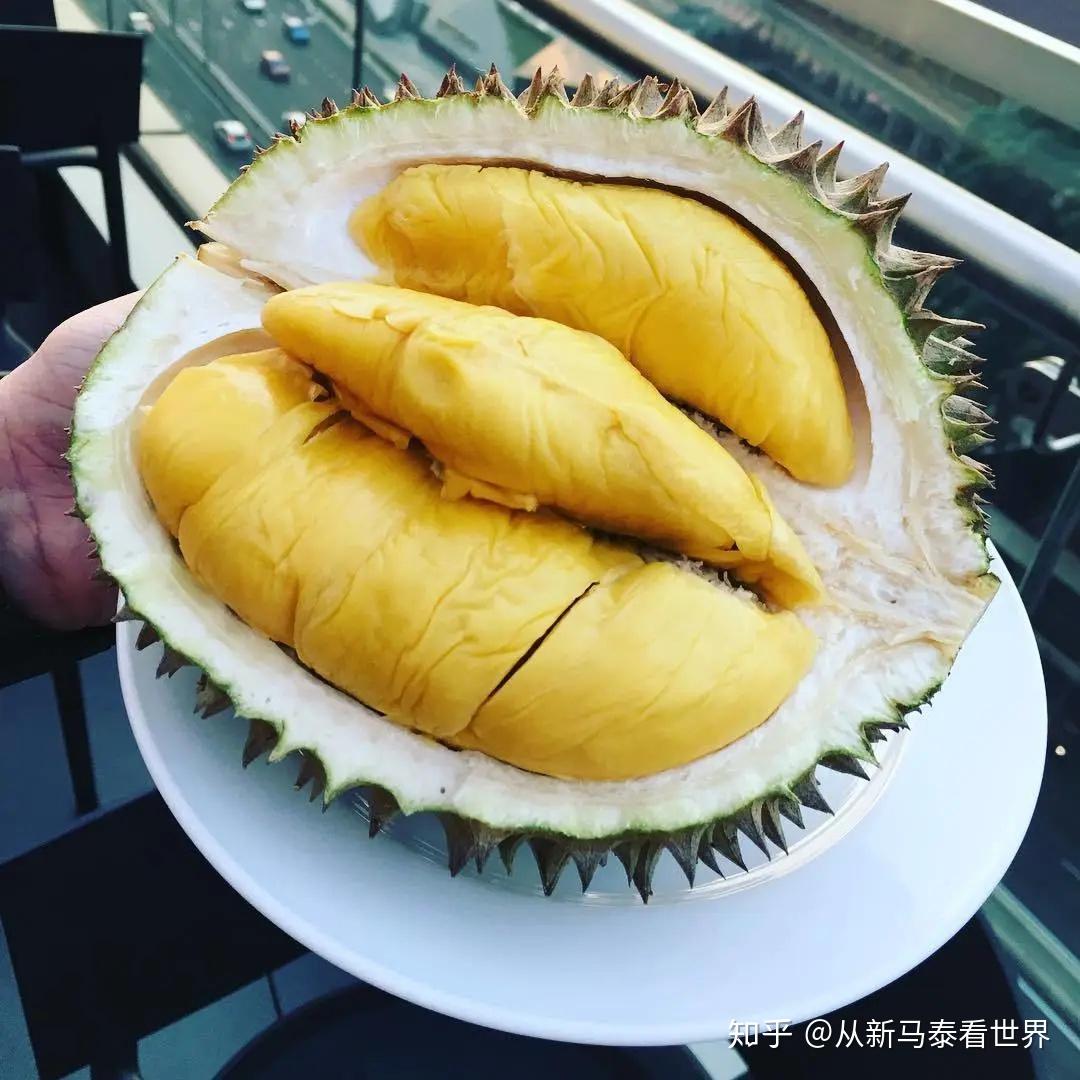 泰国队碾压马来西亚队,辛杜状态火热 泰国队碾压马来西亚队,辛杜状态火热