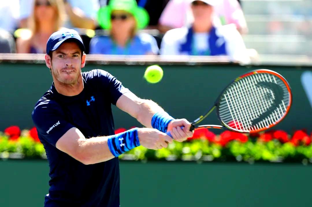 蒙特卡洛大师赛完胜ATP总决赛,穆雷点燃赛场 蒙特卡洛大师赛完胜ATP总决赛,穆雷点燃赛场